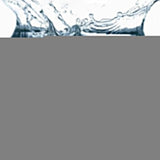 Darrahopens Electronics > Mobile Accessories > Phone Cases & Screen Protectors iPhone 15 Waterproof Shockproof Case