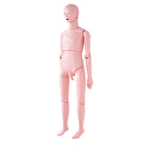 Darrahopens Fashion > Men's Fashion > Men's Thongs & Sandals VEVOR Nursing Training Manikin, Male Life Size Demonstration Human Manikin for Nursing Training, Multifunctional Education Teaching Model Supplies, PVC Anatomical Mannequin Body Care Simulator Model