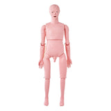 Darrahopens Fashion > Men's Fashion > Men's Thongs & Sandals VEVOR Nursing Training Manikin, Male Life Size Demonstration Human Manikin for Nursing Training, Multifunctional Education Teaching Model Supplies, PVC Anatomical Mannequin Body Care Simulator Model