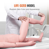 Darrahopens Fashion > Men's Fashion > Men's Thongs & Sandals VEVOR Nursing Training Manikin, Male Life Size Demonstration Human Manikin for Nursing Training, Multifunctional Education Teaching Model Supplies, PVC Anatomical Mannequin Body Care Simulator Model