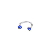 Darrahopens Fashion > Women's Fashion > Women's Accessories 2-PCS Blue-violet G23 Titanium Horseshoe Ring with 5A Zircon Internal Thread for Nose Ear Lip Septum Piercing Hypoallergenic Jewelry for Local Trendsetters