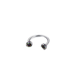 Darrahopens Fashion > Women's Fashion > Women's Accessories 2-PCS Colour G23 Titanium Horseshoe Ring with 5A Zircon Internal Thread for Nose Ear Lip Septum Piercing Hypoallergenic Jewelry for Local Trendsetters
