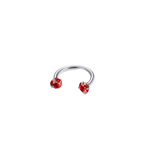 Darrahopens Fashion > Women's Fashion > Women's Accessories 2-PCS Pomegranate red G23 Titanium Horseshoe Ring with 5A Zircon Internal Thread for Nose Ear Lip Septum Piercing Hypoallergenic Jewelry for Local Trendsetters