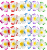 Darrahopens Fashion > Women's Fashion > Women's Accessories 24pcs Plumeria Flower Hair Clips for Women and Girls, Hawaiian Hibiscus Barrettes, Beach Wedding Party