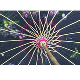 Darrahopens Fashion > Women's Fashion > Women's Accessories 2pc Set Parasol Umbrella Black + White Chinese Japanese Bamboo Flower Pattern