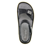 Darrahopens Fashion > Women's Fashion > Women's Thongs & Sandals ALEGRIA Vienna Ankle Strap Sandals Shoes Womens - Morning Glory Black
