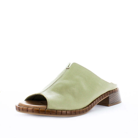 Darrahopens Fashion > Women's Fashion > Women's Thongs & Sandals ZOLA Women's HENZA Sandals Scorpion Shoe 39EU