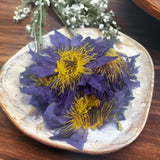 Darrahopens Food & Beverage > Groceries Orku 50g Dried Blue Lotus Flowers - Whole Open Lily Nymphaea Caerulea