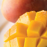 Darrahopens Food & Beverage > Pantry > Condiments & Sauces Summer Mango Wax Melts 2.5oz - RRP $7.95 - Wholesale