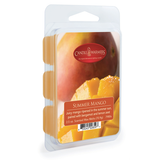 Darrahopens Food & Beverage > Pantry > Condiments & Sauces Summer Mango Wax Melts 2.5oz - RRP $7.95 - Wholesale