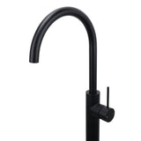 Darrahopens Furniture > Bathroom > Shower Heads & Screens Matt Black Indoor Bathtub Filler Free Standing Mixer Faucet Tap Spout Watermark