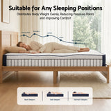 Darrahopens Furniture > Bedroom > Beds & Bed Frames RoomSense Queen 26cm Firm Mattress Bundle with Oatmeal Wooden Bed Frame In Australia - Darrahopens