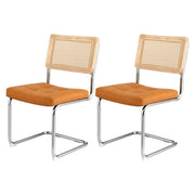 Darrahopens Furniture > Dining > Kitchen & Dining Chairs Artiss Dining Chairs Set of 2 PU Leather Rattan Cantilever Brown