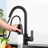 Darrahopens Furniture > Dining > Kitchen Sinks Black Kitchen Faucet