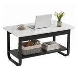 Darrahopens Furniture > Living Room > Coffee Tables Artiss Coffee Table 2-Tier 80CM Marble Finish Shelf Black&White