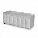 Darrahopens Furniture > Living Room > Ottomans & Footstools Artiss Storage Ottoman Blanket Box Velvet Grey 103cm