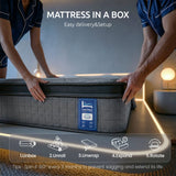 Darrahopens Furniture > Mattresses > Double Mattress Levitex 33 cm Mattress 8.0 Extra Firm 7-Zone Pocket Spring Mattress with Dual-Row Edge Support & Breathable Knit Cover Double