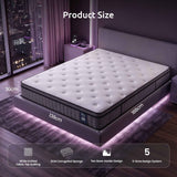Darrahopens Furniture > Mattresses > Double Mattress Levitex Double Mattress 2 Rows Edge Support for Deep Sleep 5-Zone Ergonomic Pocket Spring Breathable Corrugated Sponge Medium Firm 30CM