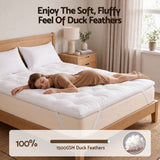 Darrahopens Furniture > Mattresses > Queen Mattress Giselle Queen Pillow Top Mattress Topper 1300GSM White Duck Feather For Old Bed Upgrade 5cm Thick In Australia - Darrahopens