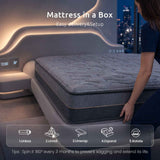 Darrahopens Furniture > Mattresses > Single Mattress Levitex 25 cm Hybrid Pocket Spring Mattress Firm with 4cm Egg Crate Foam for Deep Sleep Bamboo Charcoal Fabric Single