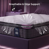 Darrahopens Furniture > Mattresses > Single Mattress Levitex Single Mattress 2 Rows Edge Support for Deep Sleep 5-Zone Ergonomic Pocket Spring Breathable Corrugated Sponge Medium Firm 30CM