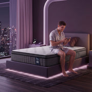 Darrahopens Furniture > Mattresses > Single Mattress Levitex Single Mattress 2 Rows Edge Support for Deep Sleep 5-Zone Ergonomic Pocket Spring Breathable Corrugated Sponge Medium Firm 30CM