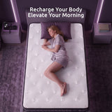 Darrahopens Furniture > Mattresses > Single Mattress Levitex Single Mattress 2 Rows Edge Support for Deep Sleep 5-Zone Ergonomic Pocket Spring Breathable Corrugated Sponge Medium Firm 30CM
