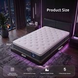 Darrahopens Furniture > Mattresses > Single Mattress Levitex Single Mattress Lumbar Support 5-Zone Individual Pocket Spring 30CM In Australia - Darrahopens