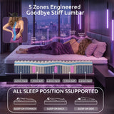Darrahopens Furniture > Mattresses > Single Mattress Levitex Single Mattress Lumbar Support 5-Zone Individual Pocket Spring 30CM In Australia - Darrahopens