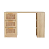 Darrahopens Furniture > Office Artiss Computer Desk Drawer Shelf Home Office Study Table Rattan Oak 120CM