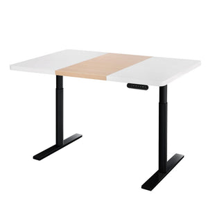 Darrahopens Furniture > Office Artiss Standing Desk Motorised Electric Dual Motor 120CM