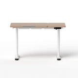 Darrahopens Furniture > Office > Desks Artiss Electric Standing Desk Height Adjustable Sit Stand Desk Tilting Top