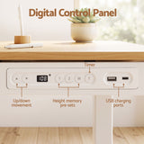 Darrahopens Furniture > Office > Desks Artiss Motorised Standing Desk with Storage Drawer 120cm Wood White In Australia - Darrahopens