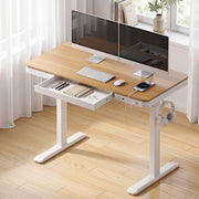 Darrahopens Furniture > Office > Desks Artiss Motorised Standing Desk with Storage Drawer 120cm Wood White In Australia - Darrahopens