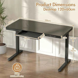 Darrahopens Furniture > Office > Desks Electric Standing Desk with Drawer, One-Piece Glass Desktop, Black, 120x60cm In Australia - Darrahopens