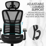 Darrahopens Furniture > Office > Office & Desk Chairs Fortia Ergonomic Office Desk Chair, Coolmesh Fabric, Adjustable Lumbar Support, Headrest, Armrest and Recline, Black Mesh/Black Frame