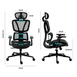 Darrahopens Furniture > Office > Office & Desk Chairs Fortia Ergonomic Office Desk Chair, Coolmesh Fabric, Adjustable Lumbar Support, Headrest, Armrest and Recline, Black Mesh/Black Frame