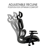 Darrahopens Furniture > Office > Office & Desk Chairs Fortia Ergonomic Office Desk Chair, Coolmesh Fabric, Adjustable Lumbar Support, Headrest, Armrest and Recline, Black Mesh/Black Frame