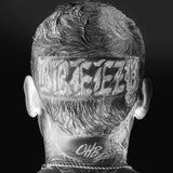 Darrahopens Gift & Novelty > DVDs, CDs and Blurays > Music CDs Breezy - Brown, Chris Cd Album