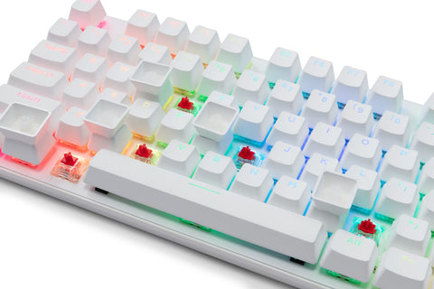 Darrahopens Gift & Novelty > Games > Video Games G-TEK Cyborg 87-Key Wired Bluetooth Keyboard White