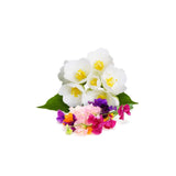 Darrahopens Health & Beauty > Bath & Body 10x 200g Plant Oil Soap Sweet Pea Jasmine Scent Pure Natural Vegetable Base Bar
