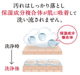 Darrahopens Health & Beauty > Bath & Body [6-PACK] Lion Japan Hadakara Body Soap Body Wash  500ml Fresh Soap fragrance