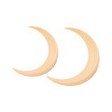 Darrahopens Health & Beauty > Hair Care > Hair Styling Tools 2Pcs Moon Hair Fork ABS Decorative Portable Moon Hairpin Hair Stick for Daily Shopping Cosplays Beige In Australia - Darrahopens