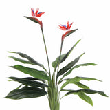 Darrahopens Health & Beauty > Health & Wellbeing > Wellness Accessories Artificial Bird of Paradise Plant 110cm (Red Flowers)