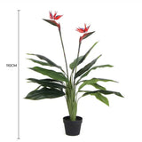 Darrahopens Health & Beauty > Health & Wellbeing > Wellness Accessories Artificial Bird of Paradise Plant 110cm (Red Flowers)