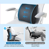 Darrahopens Health & Beauty > Health & Wellbeing > Wellness Accessories Bamboo Memory Foam Lumbar Support Cushion