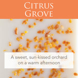 Darrahopens Health & Beauty > Massage & Relaxation > Massage Oils Citrus Grove 2.5 Oz Artisan Melts - RRP $7.95 - Wholesale