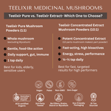 Darrahopens Health & Beauty > Nutrition & Supplements > Vitamins & Supplements Premium Mushroom Immunity Pack