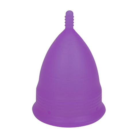 Darrahopens Health & Beauty > Personal Care > Feminine Sanitary Supplies 2PCS Reusable Medical Grade Silicone Menstrual Cup(L Size) & 2PCS Matching Sterilizer Box - Microwave Safe Disinfector Case, Heat Resistant 130°C (Purple Set)