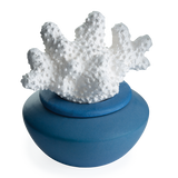 Darrahopens Health & Beauty > Skincare > Skincare Masks & Peels Coral Porcelain Passive Diffuser - RRP $29.95 - Wholesale